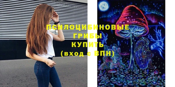 МДПВ Абинск