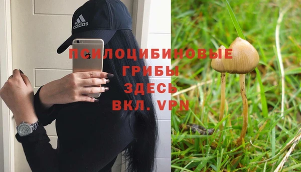 МДПВ Абинск