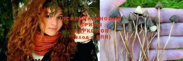 МДПВ Абдулино